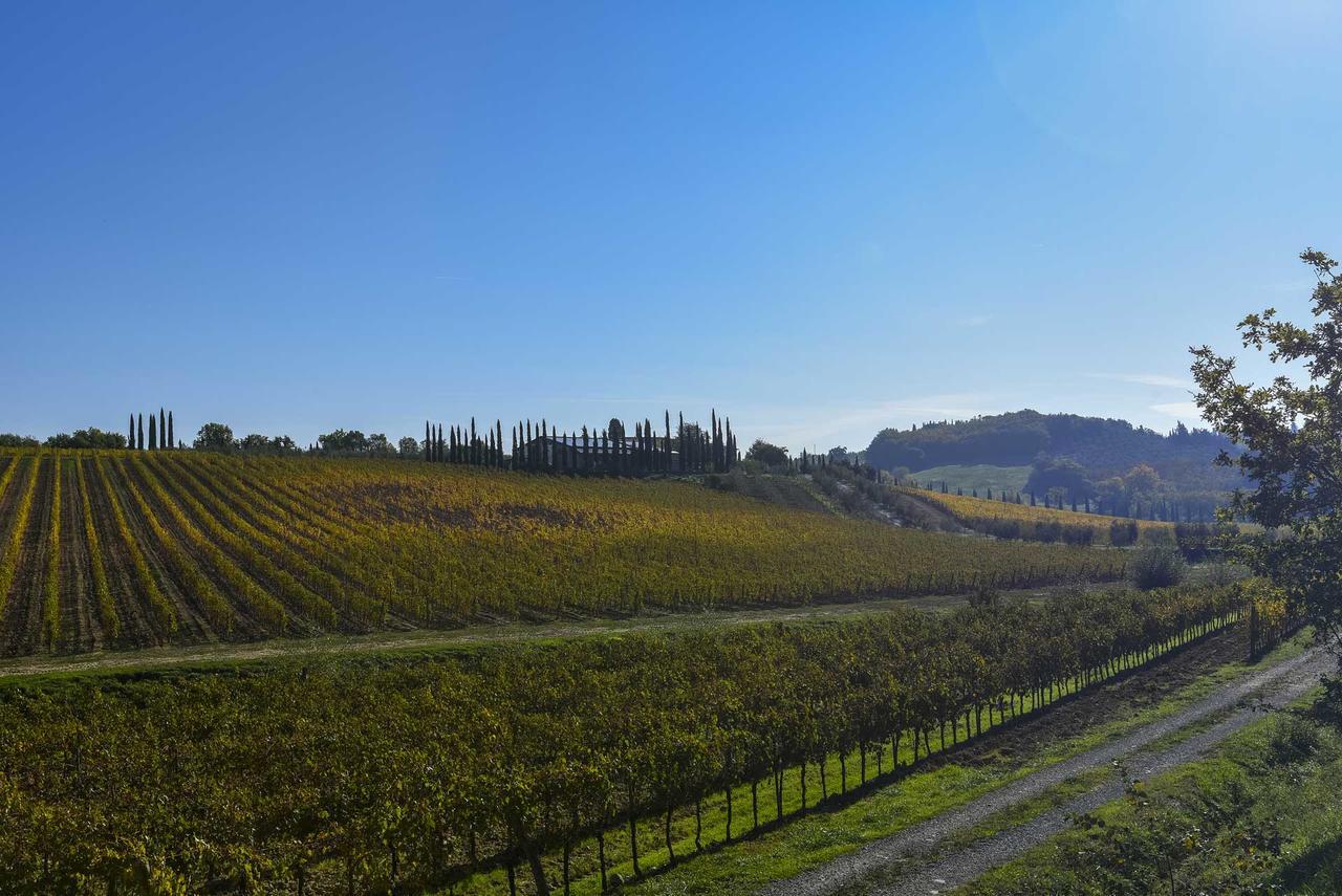Agriturismo Le Gallozzole Monteriggioni Bagian luar foto